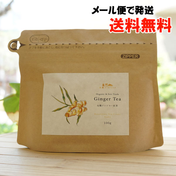 有機ジンジャー紅茶(スタンドパック)/100g【メール便発送】【エヌハーベスト】 