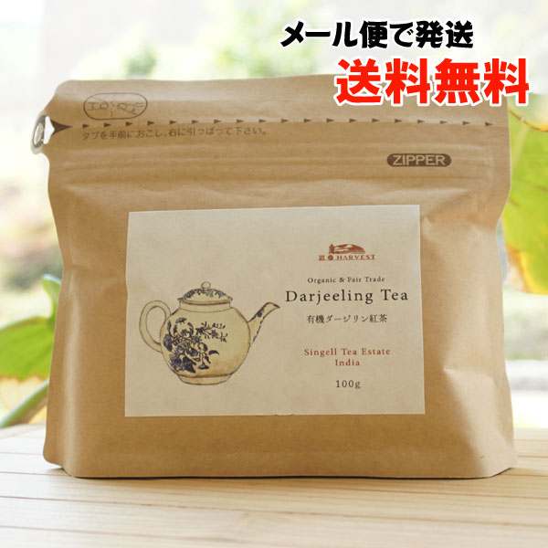 有機ダージリン紅茶(スタンドパック)/100g【メール便発送】【エヌハーベスト】