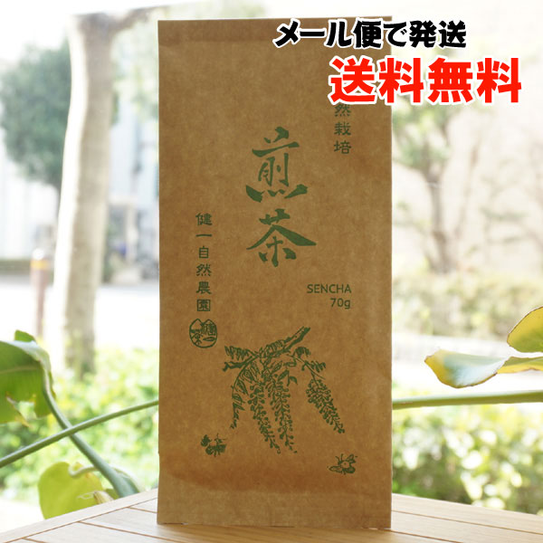 自然栽培 煎茶/70g【メール便発送】【健一自然農園】