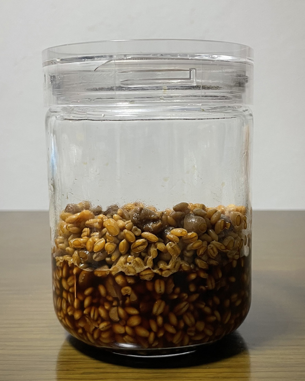 純正 ひしおの糀(無添加)/550g【名刀味噌本舗】