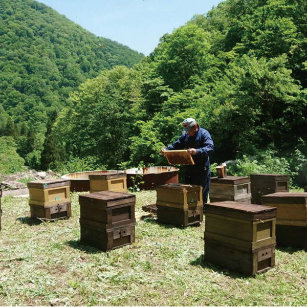 国産はちみつ アカシア(倒立ボトル)/200g【東海はちみつ 】