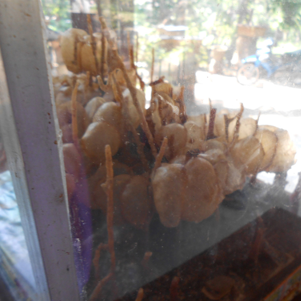 ハリナシハチミツ Honey Barrier ハニーバリア 