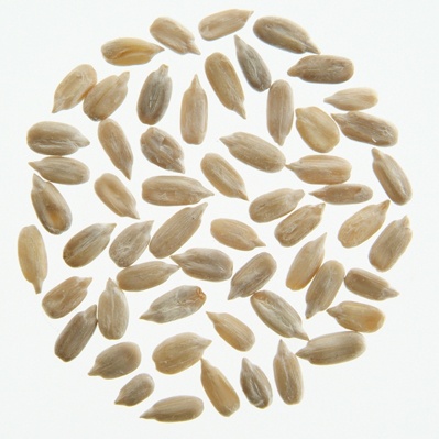 有機ひまわりの種(生)/25kg【アリサン】 Organic Sunflower Seeds
