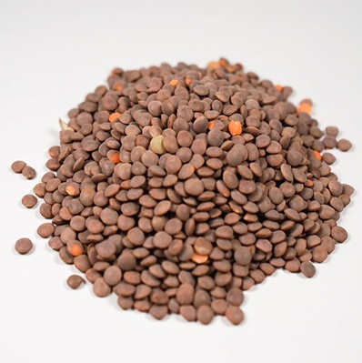 有機茶レンズ豆/11.33kg【アリサン】 Organic Brown Lentils