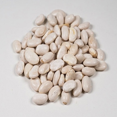 グレートノーザンビーンズ(インゲン豆の仲間)/10kg【アリサン】 Great Northern Beans