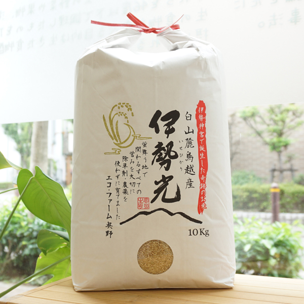 イセヒカリ玄米/10kg