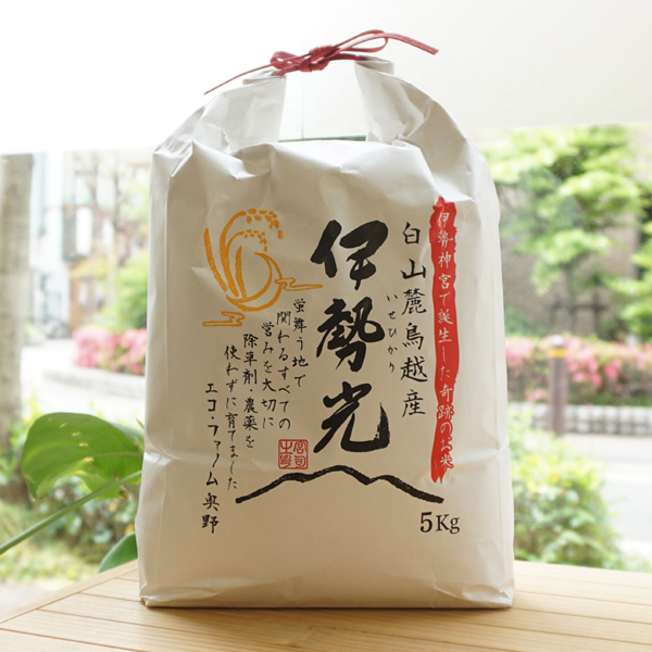 イセヒカリ玄米/5kg