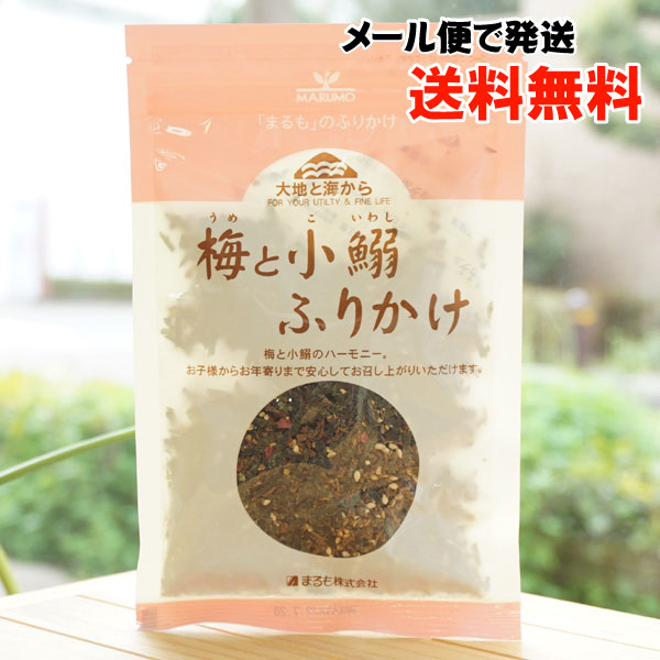 大地と海から 梅と小鰯のふりかけ/28g【メール便発送】【まるも】