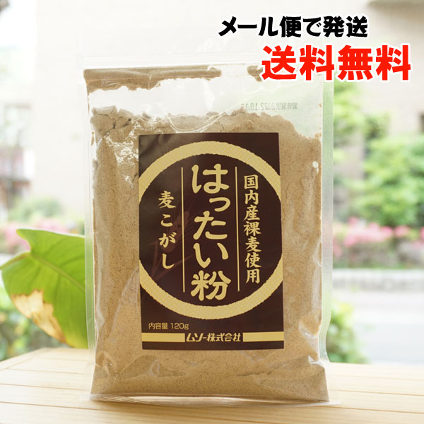 国内産裸麦使用 はったい粉/120g【メール便発送】【ムソー】