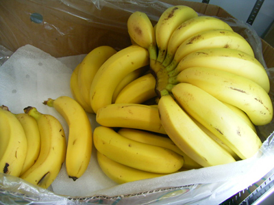 オーガニックバナナ/1箱 11kg(目安60本以上)【代引き不可】【直送】3