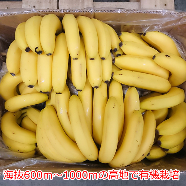 オーガニックバナナ/1箱 11kg(目安60本以上)【代引き不可】【メーカー直送】