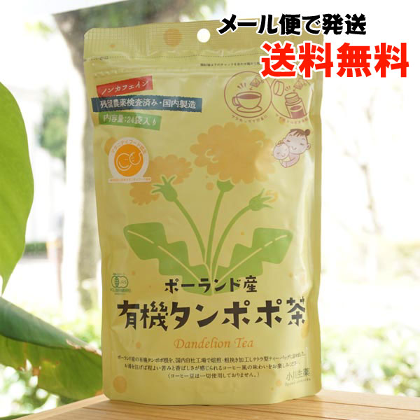 ポーランド産 有機タンポポ茶/48g(2g×24)【メール便発送】【小川生薬】