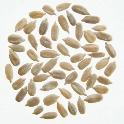 有機ひまわりの種(生)/100g【メール便発送】【アリサン】 Organic Sunflower Seeds3