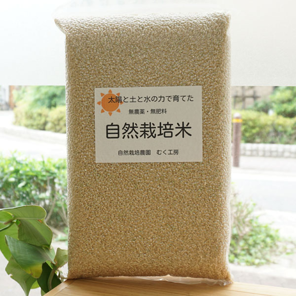 土と水と太陽の力で育てた 自然栽培米(ヒノヒカリ)玄米/5kg【むく工房】