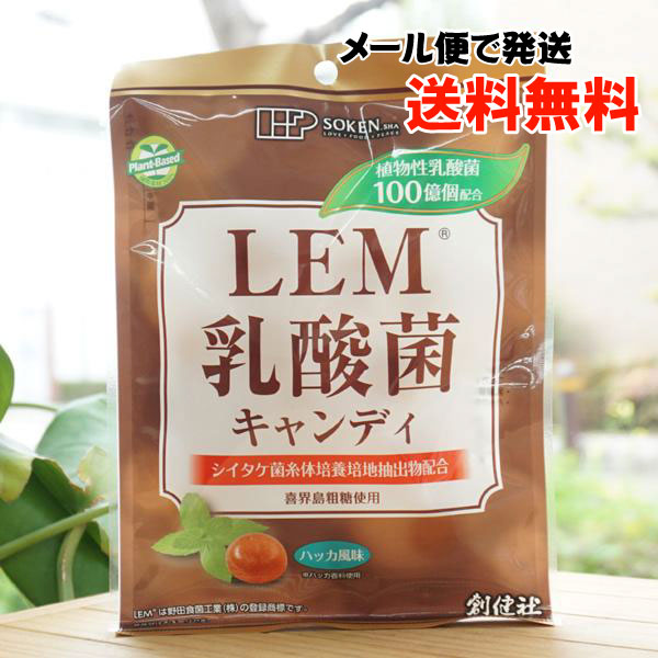 LEM乳酸菌キャンディ/63g(個包装)【メール便発送】【創健社】