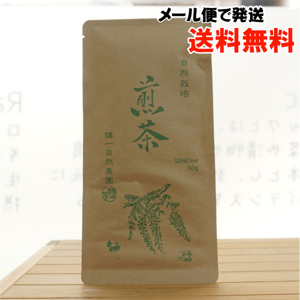 自然栽培 煎茶/30g【メール便発送】【健一自然農園】