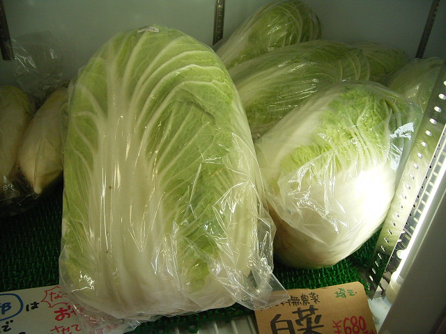 白菜(大)