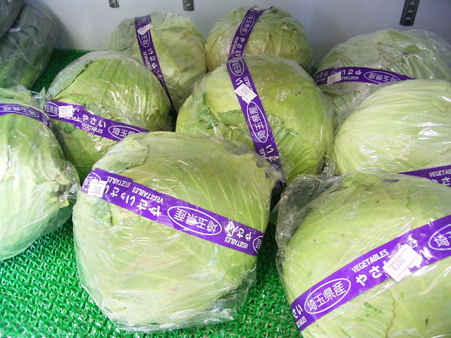 キャベツ